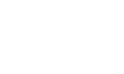 Logo winglet